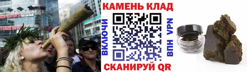 ГАШ Premium Павловская
