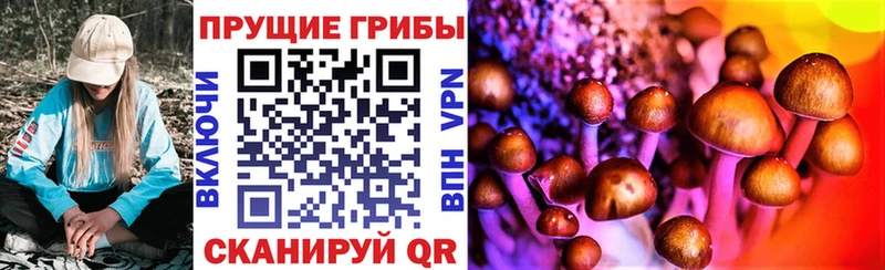 Галлюциногенные грибы ЛСД дарнет шоп Павловская