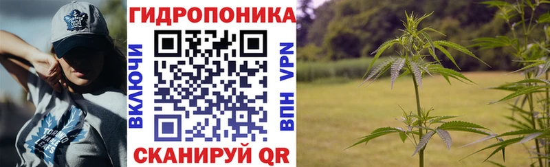 Марихуана сатива  kraken tor  Павловская 